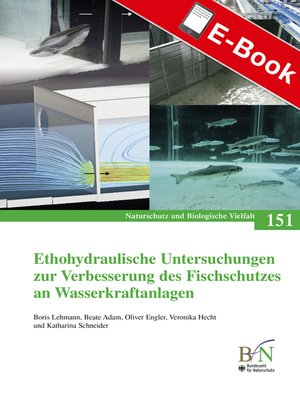 cover image of Ethohydraulische Untersuchungen zur Verbesserung des Fischschutzes an Wasserkraftanlagen